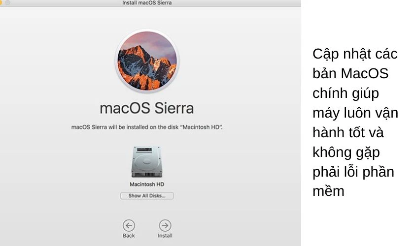 Cập nhật bản MacOS ch&iacute;nh