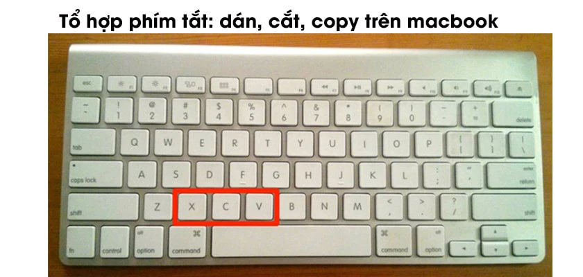 Tổ hợp ph&iacute;m tắt Macbook: d&aacute;n, cắt, copy