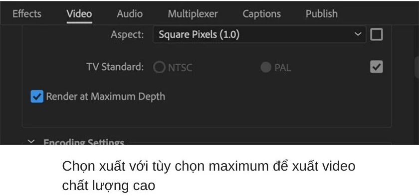 Thuộc t&iacute;nh trong Adobe Premiere
