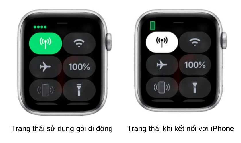 Những lưu ý khi sử dụng eSim Apple Watch Viettel