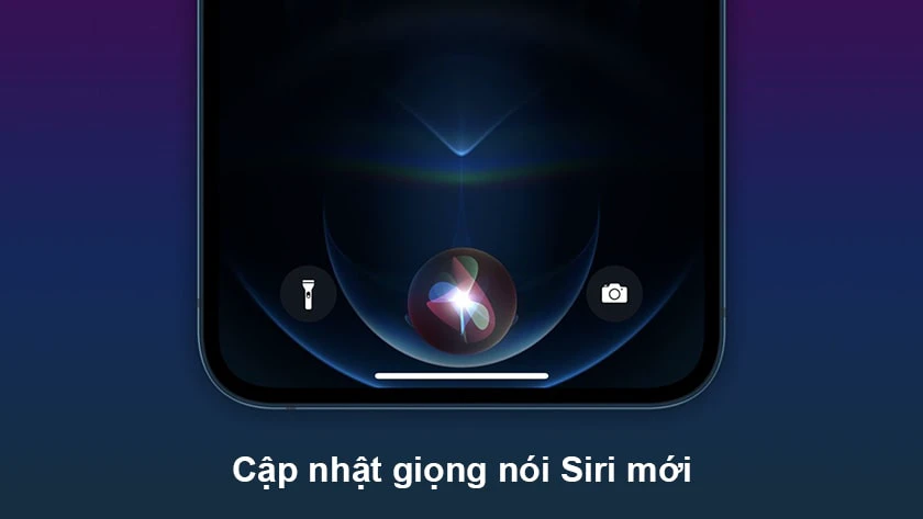 t&iacute;nh năng ios 14.5 cập nhật giọng n&oacute;i Siri mới