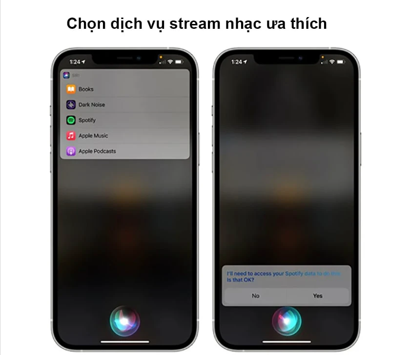 Chọn dịch vụ stream nhạc ưa th&iacute;ch