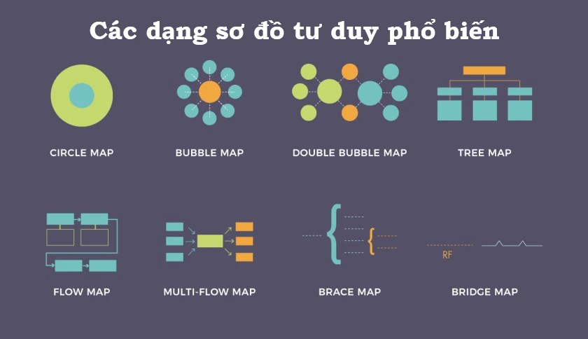 c&aacute;c dạng sơ đồ trong phần mềm vẽ sơ đồ tư duy 
