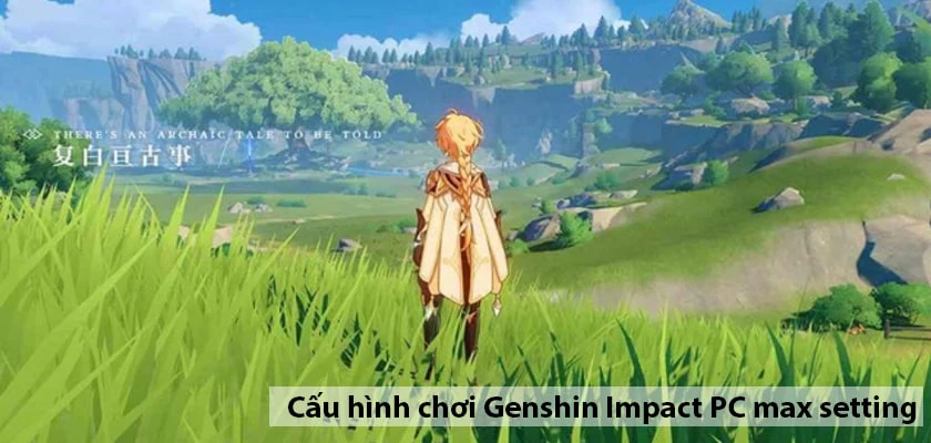 Cấu h&igrave;nh chơi max setting