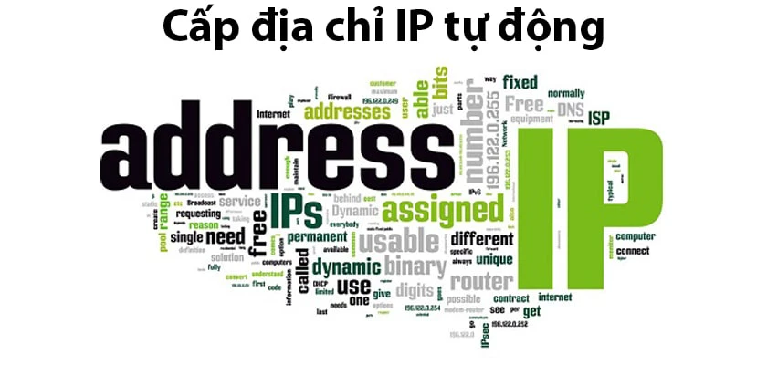 C&acirc;́p địa chỉ IP tự đ&ocirc;̣ng&nbsp;&nbsp;