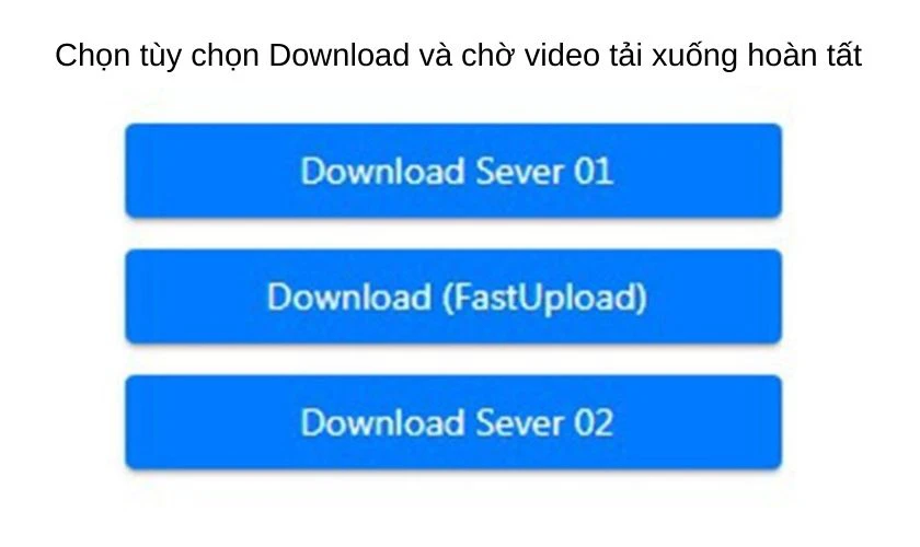 Tải video bằng SnapTik tr&ecirc;n m&aacute;y t&iacute;nh