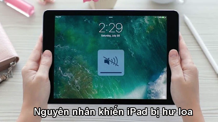iPad bị mất loa ngo&agrave;i do những nguy&ecirc;n nh&acirc;n n&agrave;o?