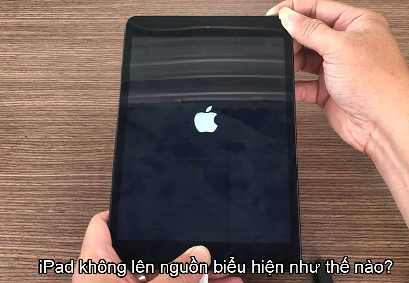 iPad không lên nguồn, sập nguồn sạc không lên, mở không lên nguồn, mất nguồn biểu hiện như thế nào?