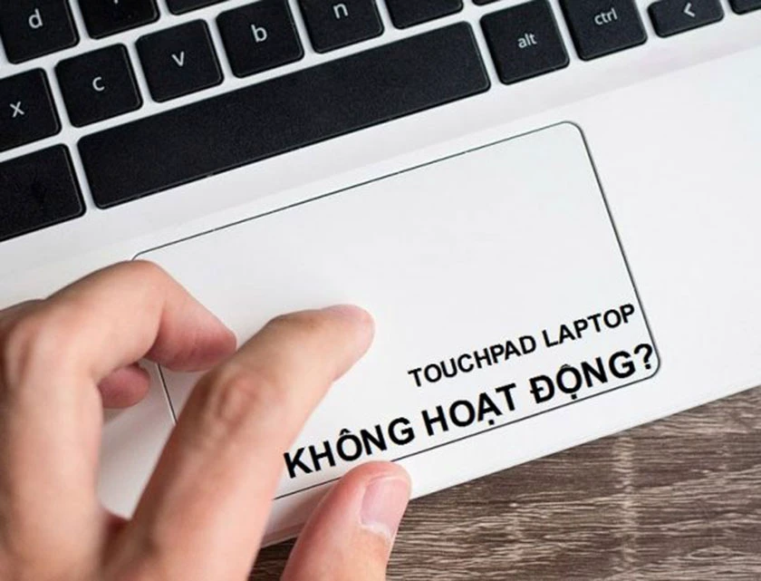 Nguy&ecirc;n nh&acirc;n TouchPad&nbsp;bị đơ