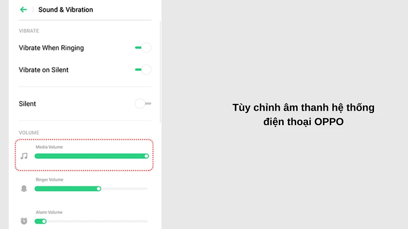 Khắc phục hư hỏng loa ngoài, mất loa ngo&agrave;i, bị nhỏ, bị r&egrave;