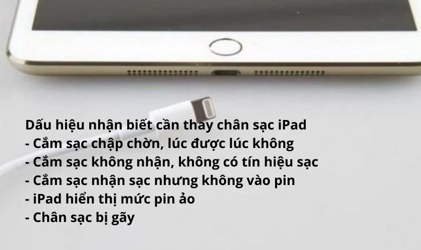 Dấu hiệu nhận biết iPad hư ch&acirc;n sạc v&agrave; khi cần thay ch&acirc;n sạc iPad