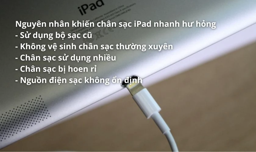 Nguy&ecirc;n nh&acirc;n khiến iPad hư ch&acirc;n sạc