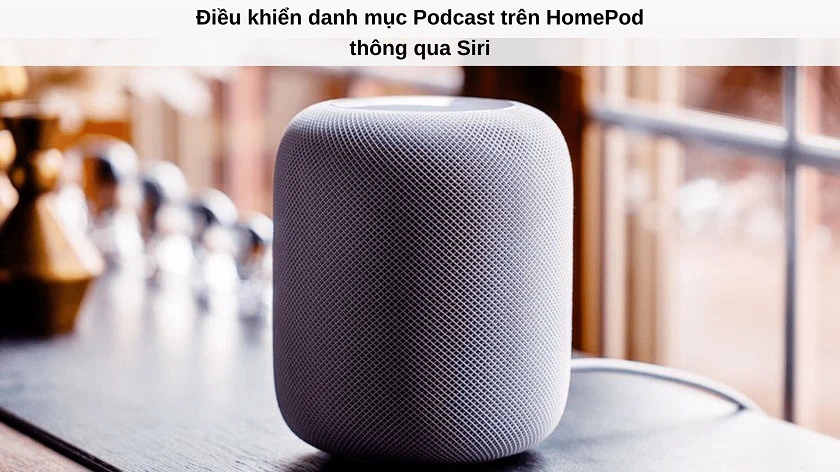 Có h&ocirc;̃ trợ Danh mục Podcast của Apple