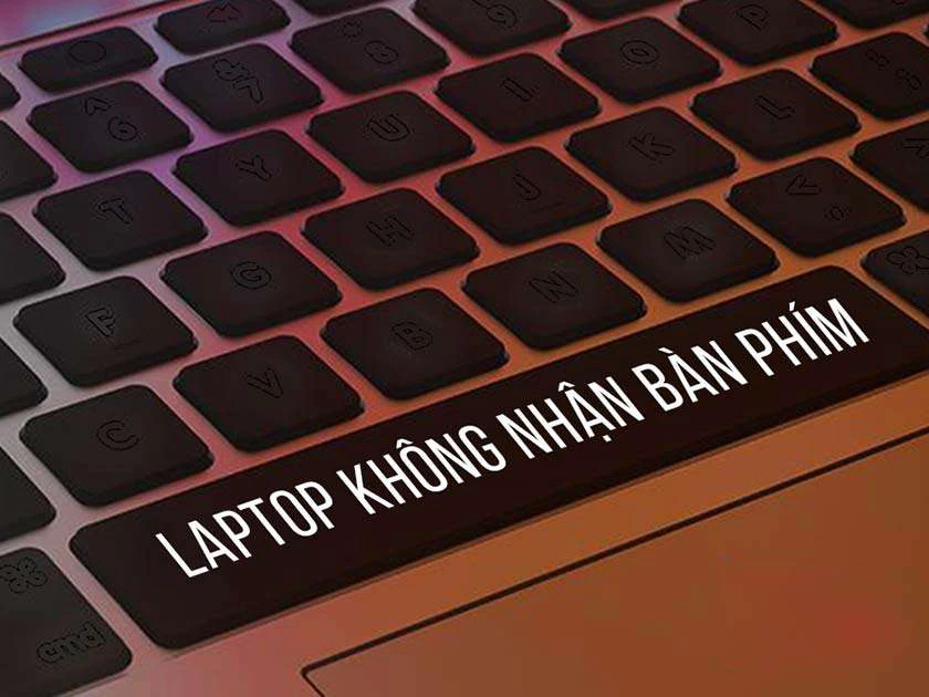 không nhận bàn phím