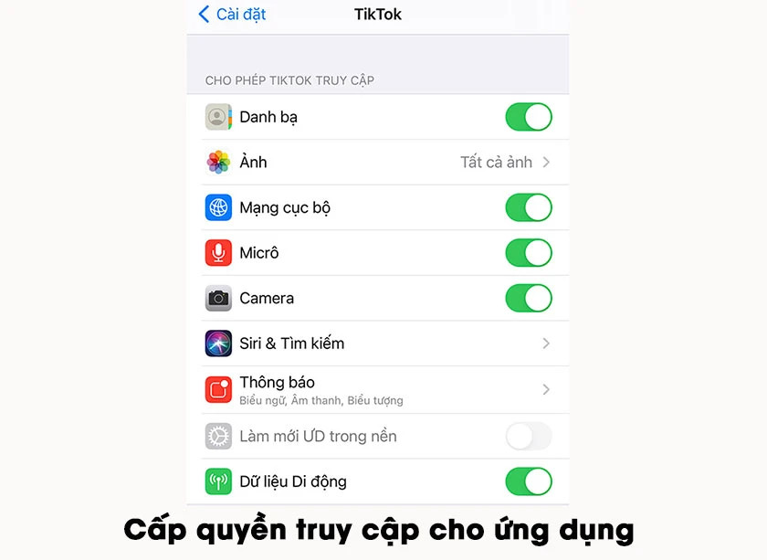 Lỗi TikTok trên iPhone yêu cầu cấp quyền truy cập