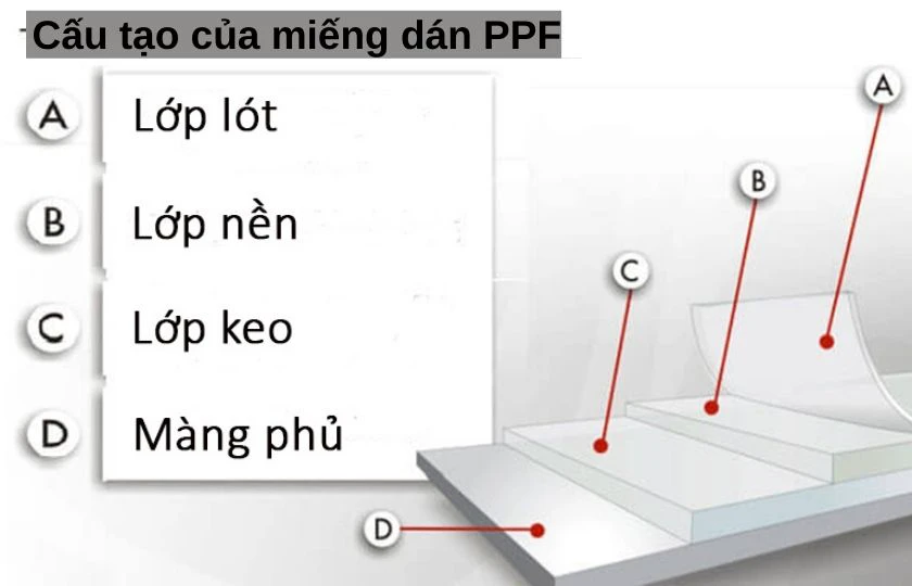 Cấu tạo miếng d&aacute;n PPF&nbsp;