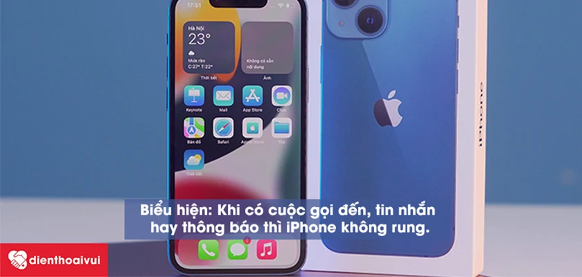 Thay rung iPhone 13 mini