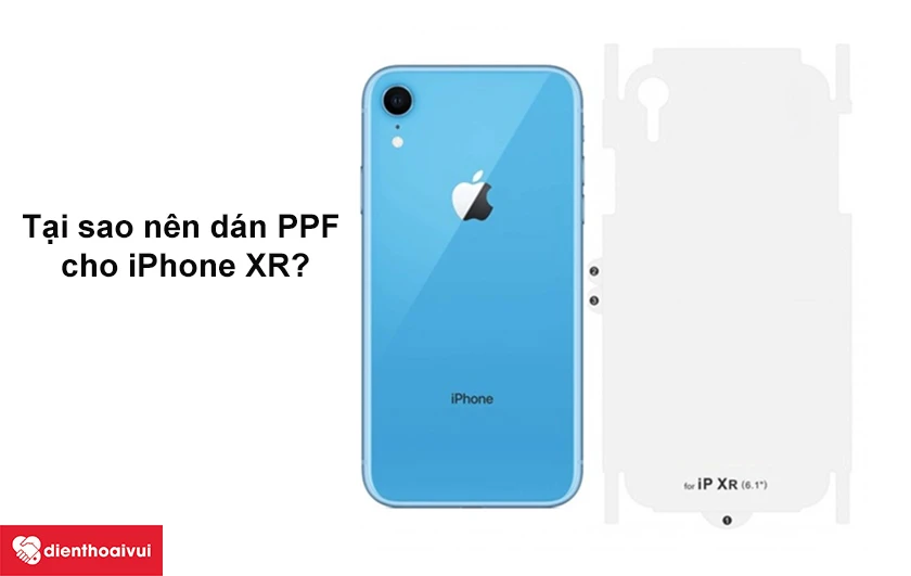 D&aacute;n PPF iPhone X/XS/XS Max