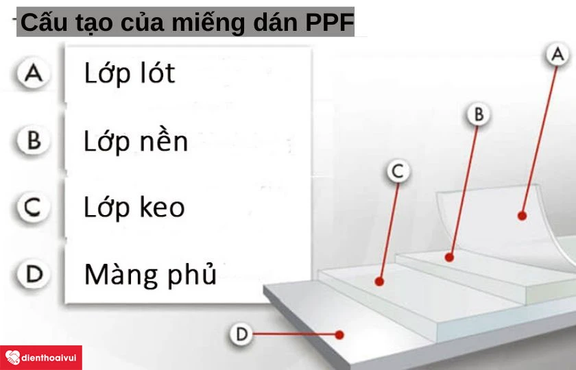 Lợi &iacute;ch của việc d&aacute;n PPF cho iPhone 11 (Pro/Pro Max)