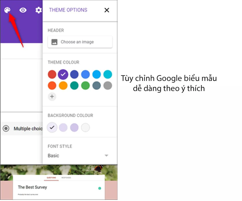 T&ugrave;y chỉnh Google biểu mẫu