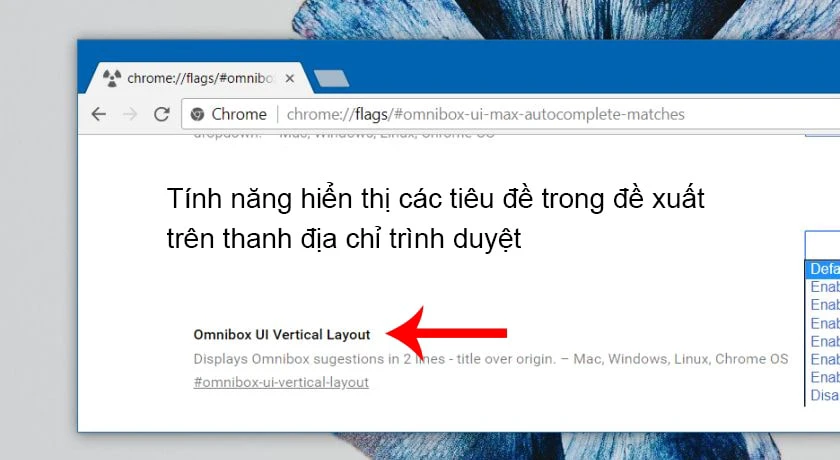 chrome flag
