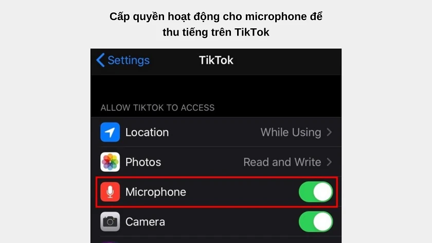 Hướng d&acirc;̃n cách Duet tr&ecirc;n TikTok có ti&ecirc;́ng