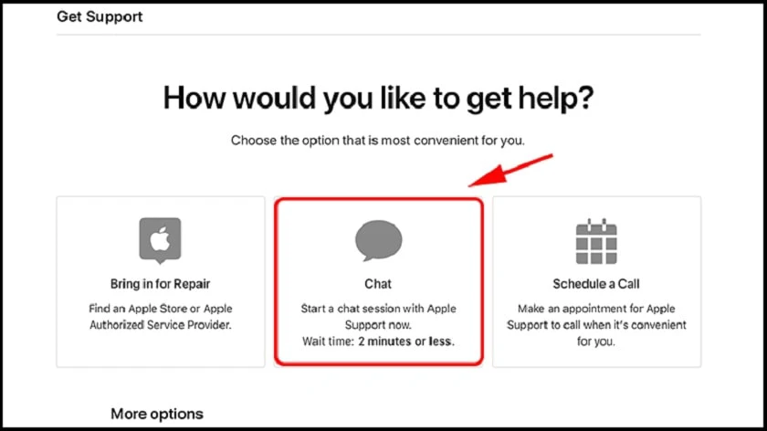 Chọn chat để bắt đầu tr&ograve; chuyện với nh&acirc;n vi&ecirc;n Apple