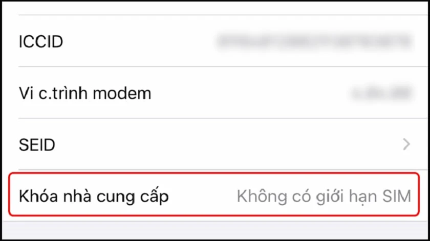 C&aacute;ch kiểm tra iPhone lock bằng kh&oacute;a nh&agrave; cung cấp