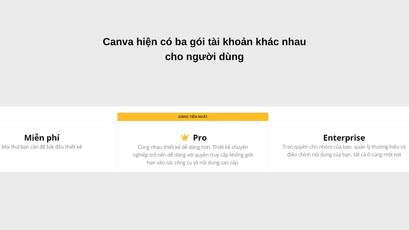 Tài khoản Canva được chia làm bao nhi&ecirc;u loại, dành cho ai?