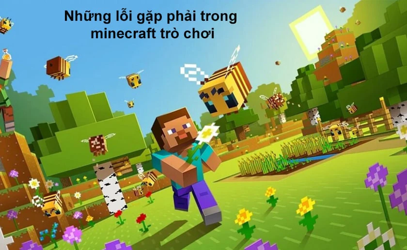 Những lỗi gặp phải trong minecraft tr&ograve; chơi