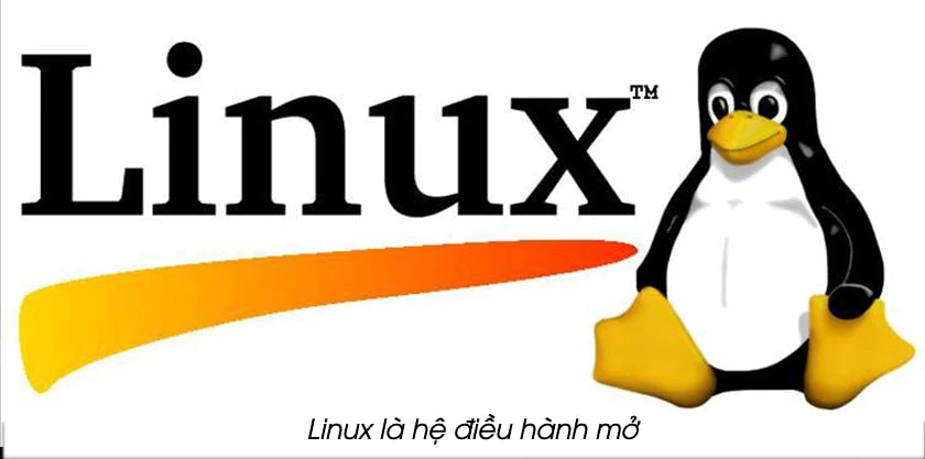 macOS