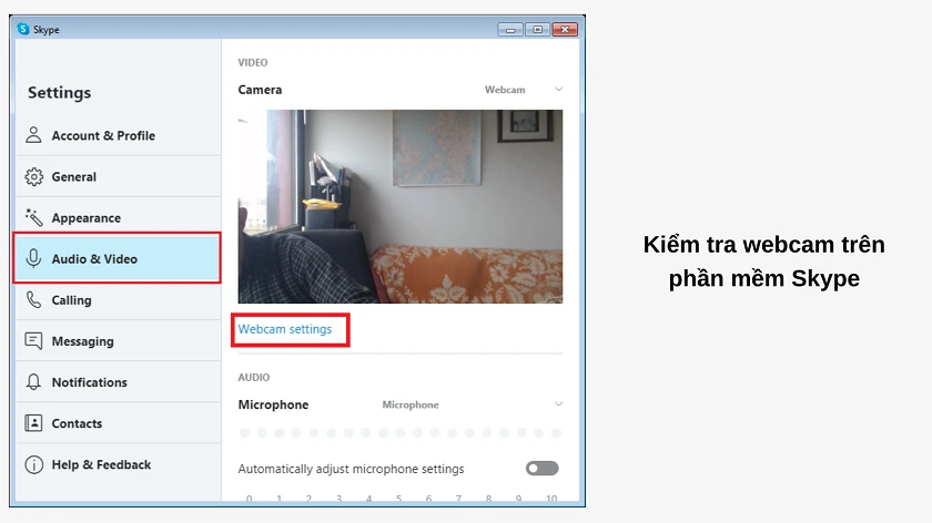 Skype