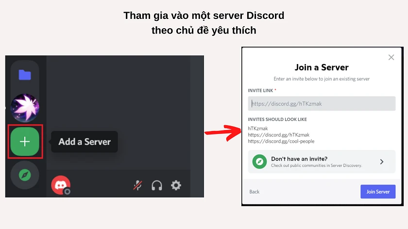 Tham gia v&agrave;o một server theo chủ đề y&ecirc;u th&iacute;ch
