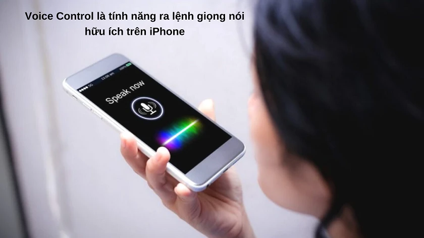 Voice Control là gì?
