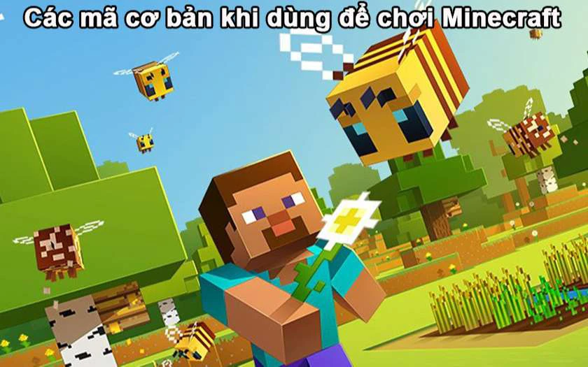 Các mã cơ bản khi dùng để chơi Minecraft