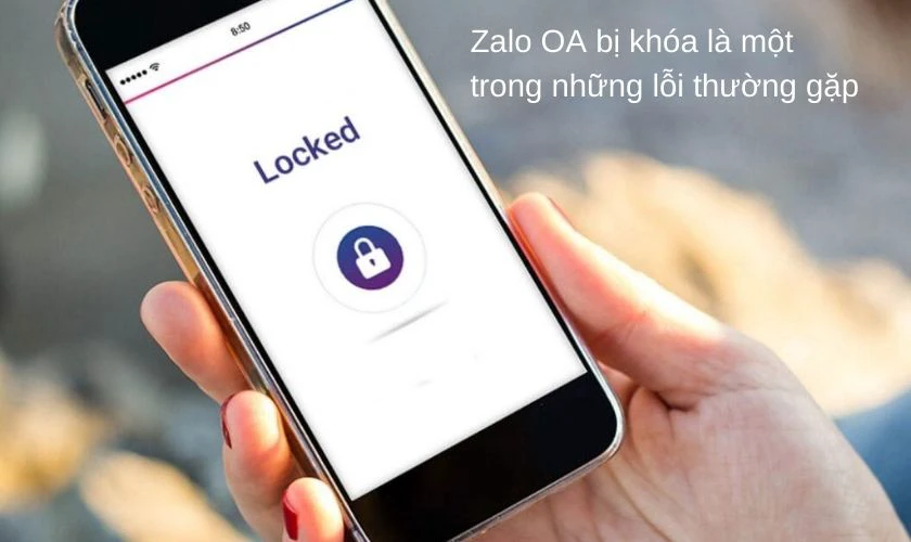 Lỗi t&agrave;i khoản OA chưa được x&aacute;c thực