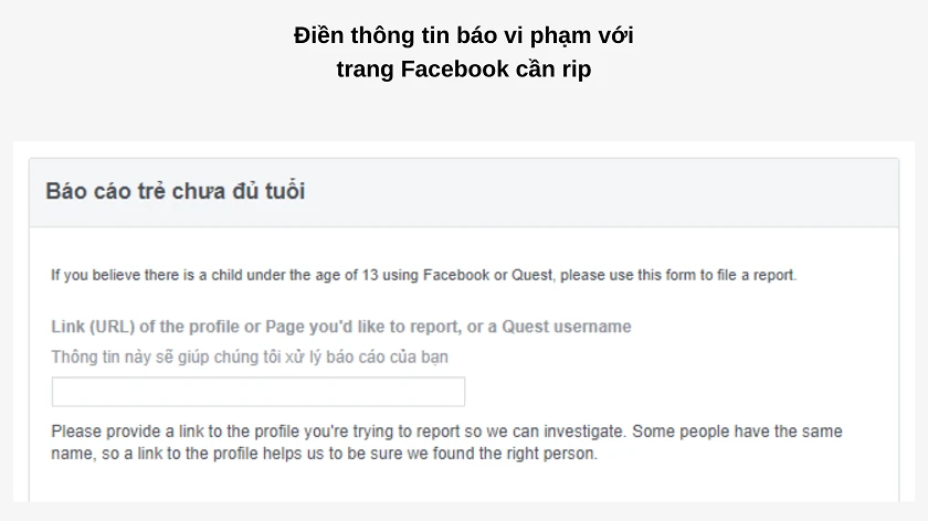 Hướng dẫn rip page facebook