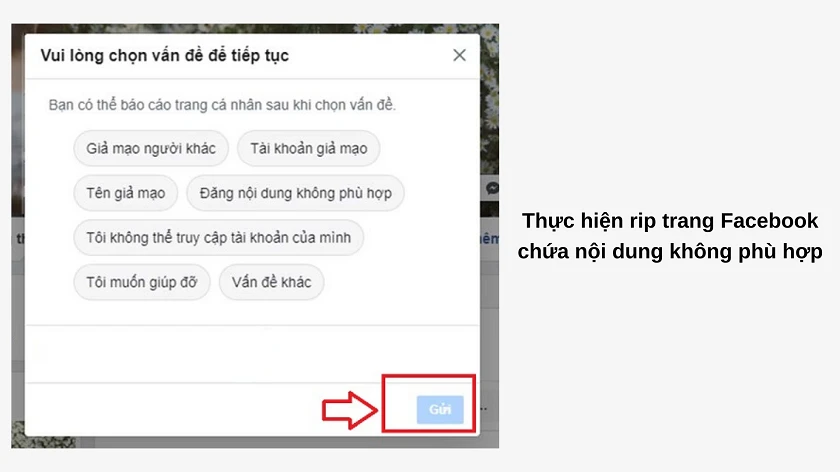 Chọn c&aacute;c l&yacute; do v&agrave; nhấn tiếp tục