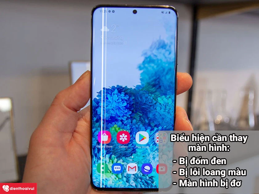 Dấu hiệu nhận biết