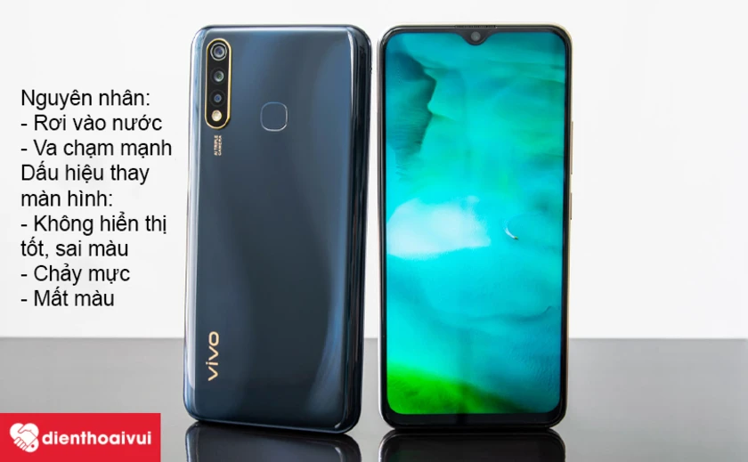 Nguyên nhân và biểu hiện