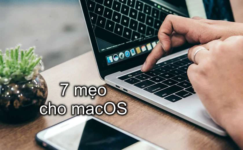 Hướng dẫn sử dụng