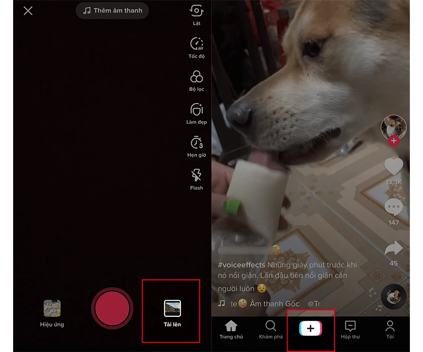 Chi tiết 3 c&aacute;ch kh&ocirc;i phục video đ&atilde; đăng tr&ecirc;n TikTok bị xo&aacute;