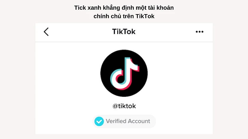 Tick xanh TikTok là gì?