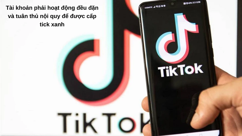 Ti&ecirc;u chí
