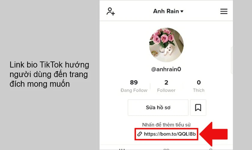 Link bio TikTok là gì?