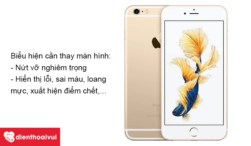 Nguyên nhân và biểu hiện cần phải thay màn hình iPhone 6S Plus