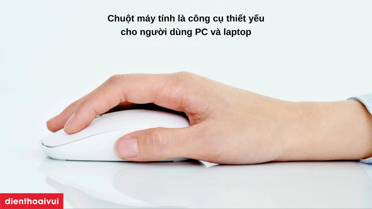 Giới thi&ecirc;̣u v&ecirc;̀ chu&ocirc;̣t máy tính