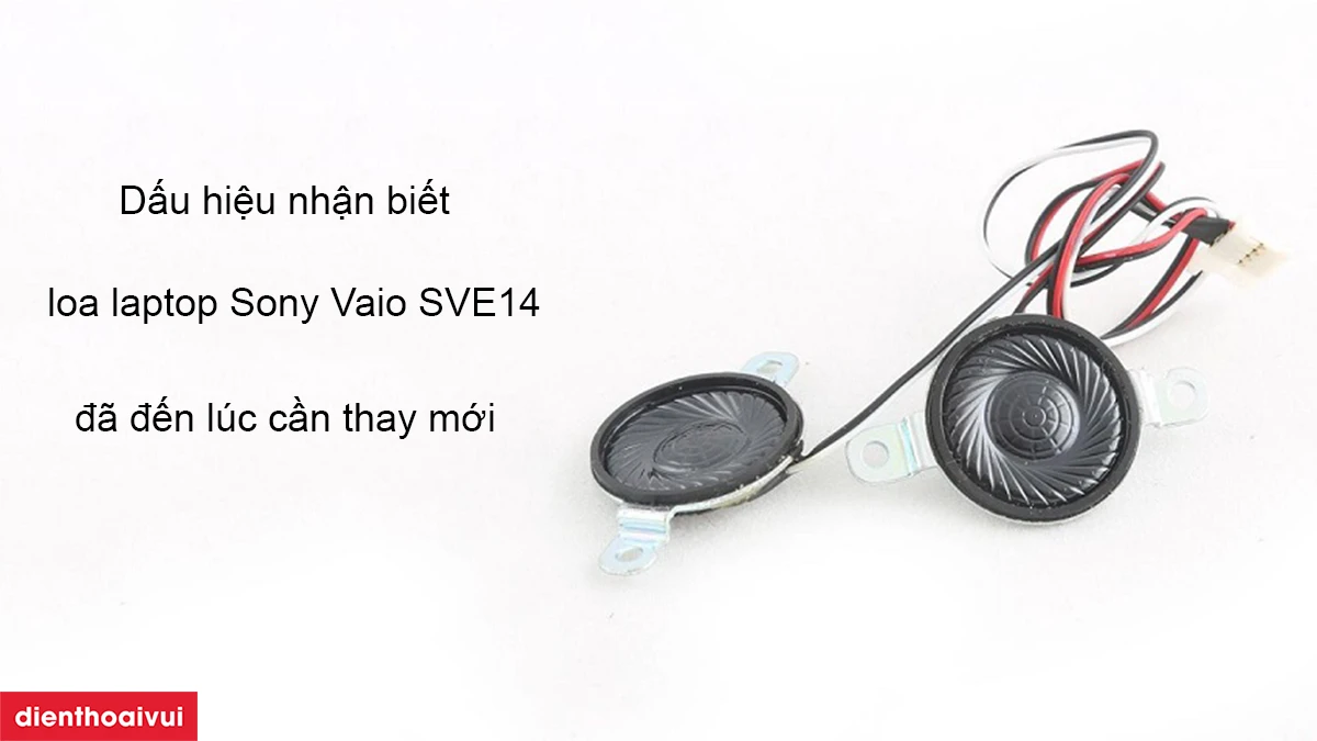 Thay loa laptop Sony Vaio SVE14