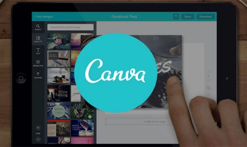 c&aacute;ch sử dụng Canva cơ bản 