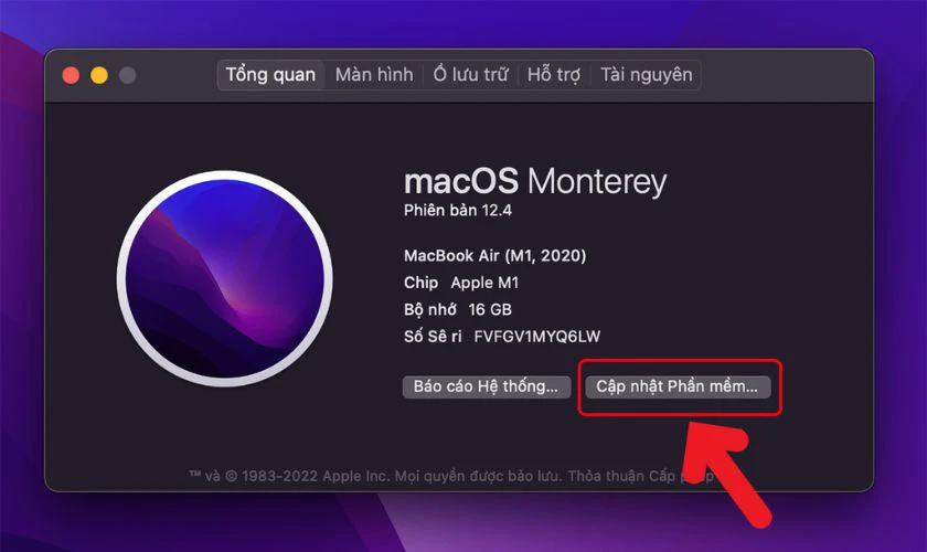 cách khắc phục l&ocirc;̃i Safari tr&ecirc;n Macbook bị treo